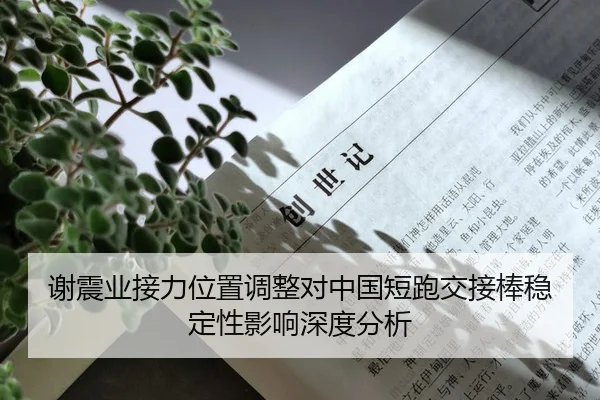 谢震业接力位置调整对中国短跑交接棒稳定性影响深度分析