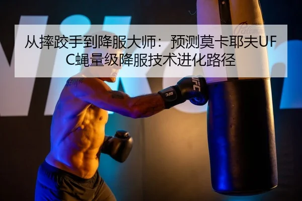 从摔跤手到降服大师：预测莫卡耶夫UFC蝇量级降服技术进化路径