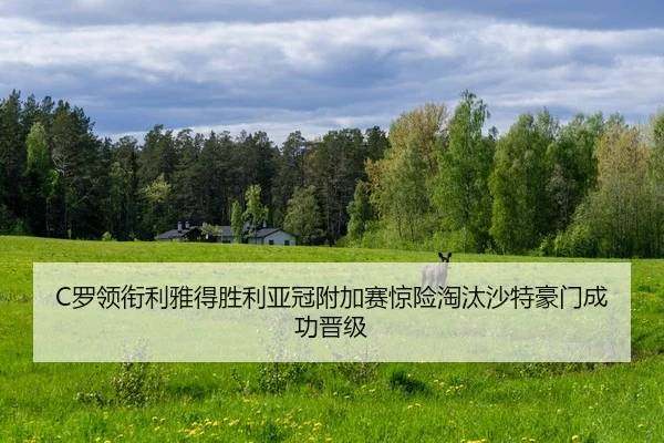 C罗领衔利雅得胜利亚冠附加赛惊险淘汰沙特豪门成功晋级