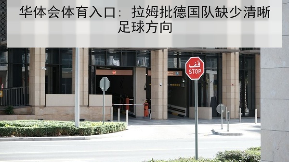 华体会体育入口: 拉姆批德国队缺少清晰足球方向