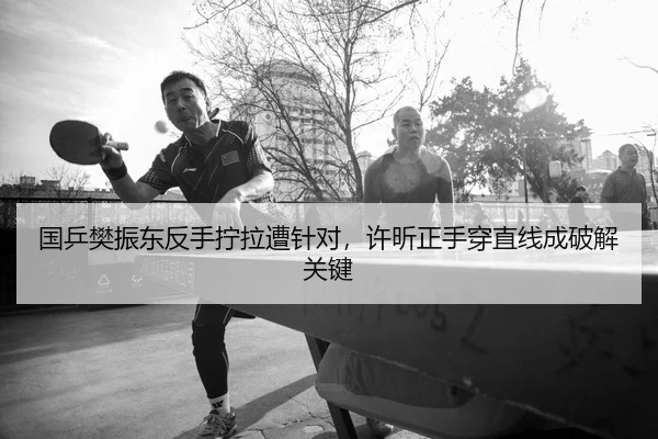 国乒樊振东反手拧拉遭针对，许昕正手穿直线成破解关键