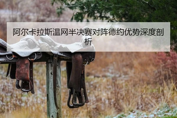 a-er-ka-la-si-wen-wang-ban-jue-sai-dui-zhen-de-yue-you-shi-shen-du-pou-xi-2-715.jpg
