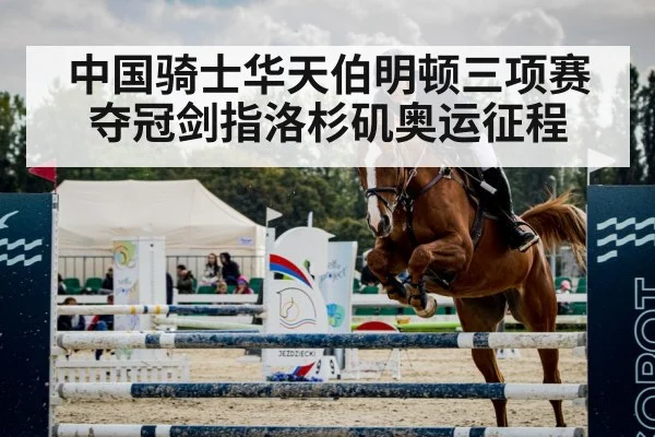 horse show jumping