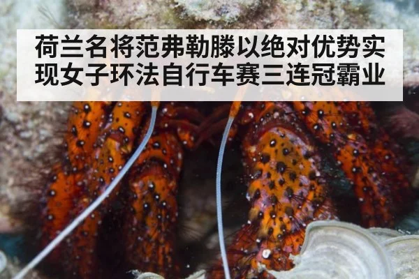 荷兰名将范弗勒滕以绝对优势实现女子环法自行车赛三连冠霸业