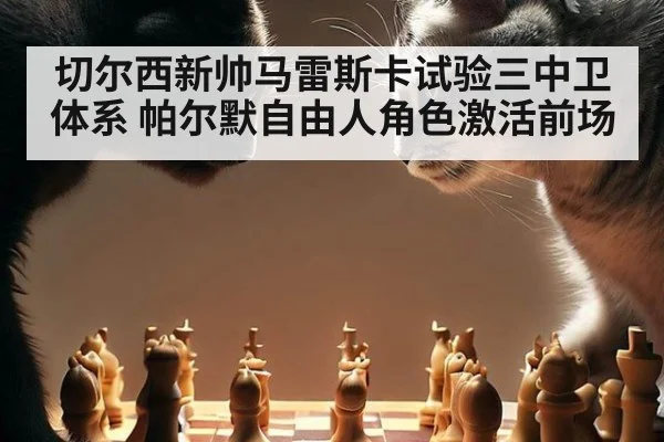 切尔西新帅马雷斯卡试验三中卫体系 帕尔默自由人角色激活前场