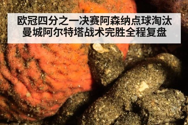 欧冠四分之一决赛阿森纳点球淘汰曼城阿尔特塔战术完胜全程复盘