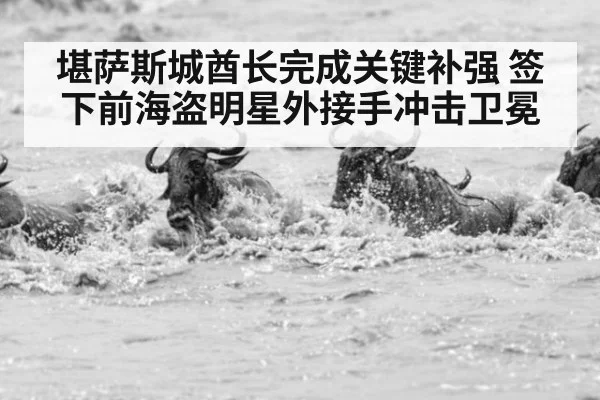 堪萨斯城酋长完成关键补强 签下前海盗明星外接手冲击卫冕